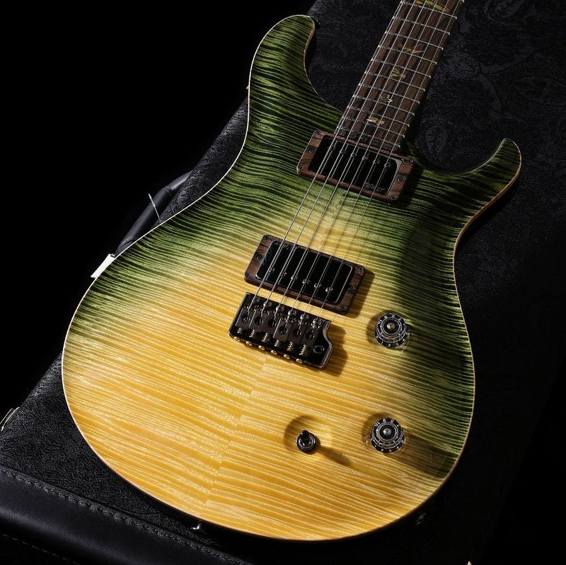 Paul Reed Smith (PRS) / 2025 Private Stock #11987 McCarty Trem