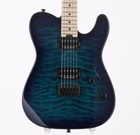 CHARVEL)の検索結果 | ギター、アコギ、管楽器などを扱う全国12店舗の