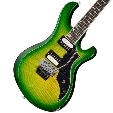 Gibson / Victory Floyd Rose Iguana Burst ヴィクトリー | その他