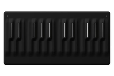 ROLI / Seaboard M MIDIキーボード《正規2年間保証》