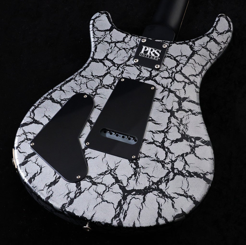 Paul Reed Smith (PRS) / 2025 Swamp Ash Special Maple Sprayer's