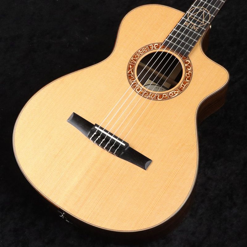 【中古】TAYLOR / Jason Mraz Signature Model Nylon / JMSM 【御茶ノ水HARVEST_GUITARS】