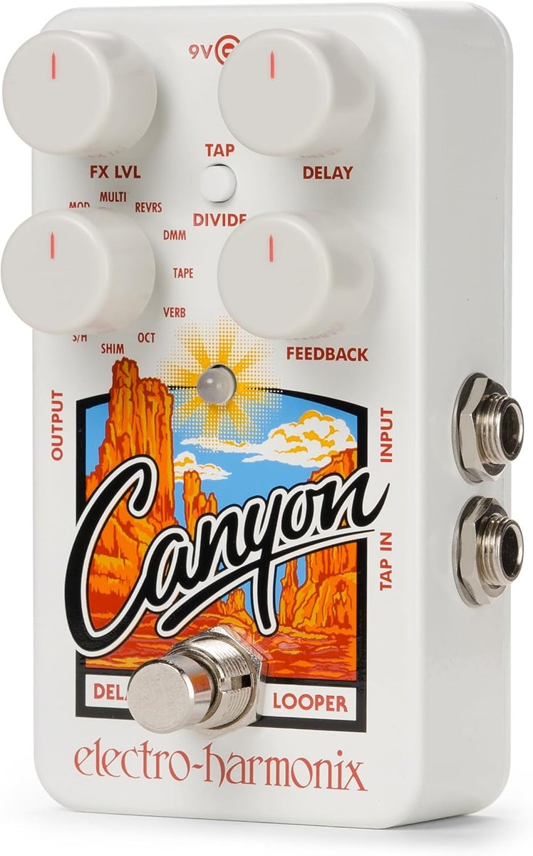 electro-harmonix / Canyon Delay & Looper ディレイ＆ルーパー