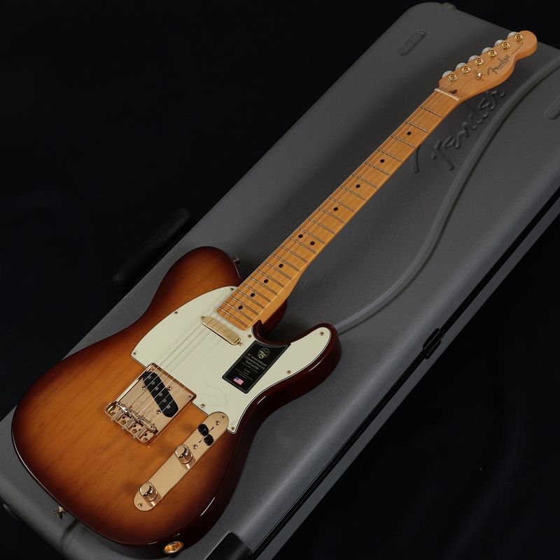 テレキャスタータイプ × FENDER USA × サンバースト)の検索結果