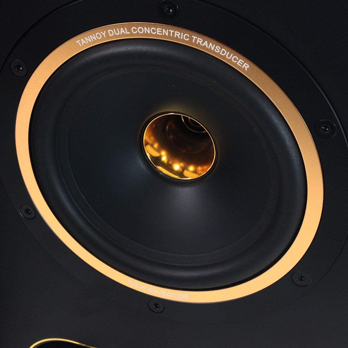 中古】TANNOY / GOLD5 PAIR 【渋谷店】 | パワードモニター | イシバシ楽器