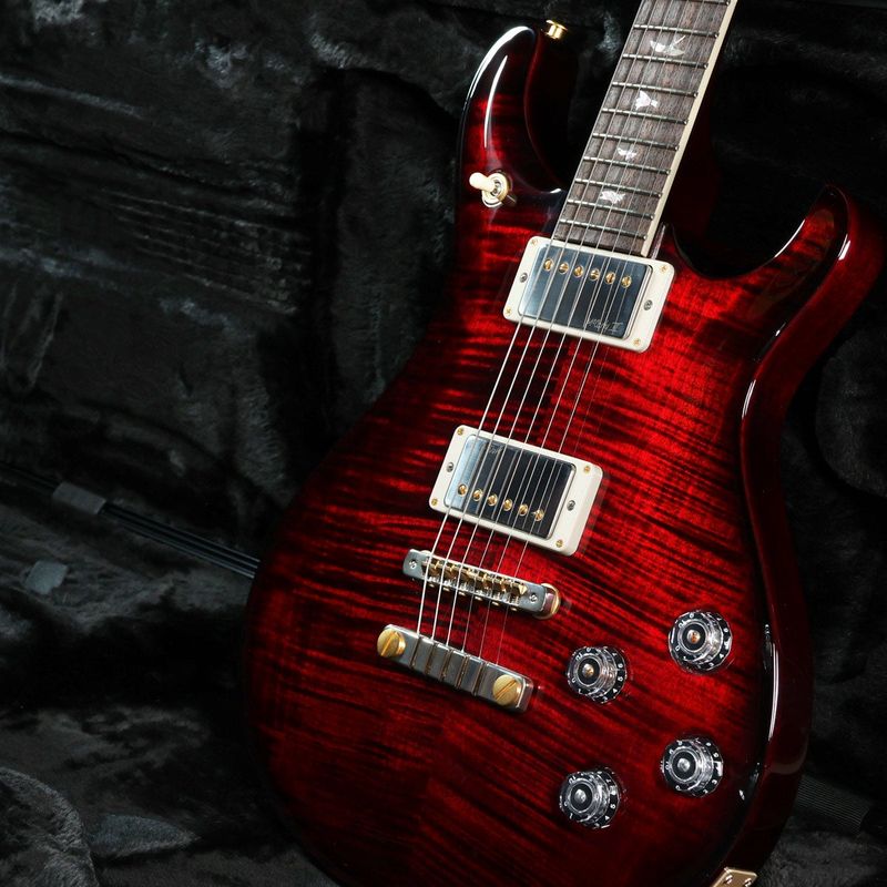 Paul Reed Smith (PRS) / 2025 McCarty 594 10Top Custom Color