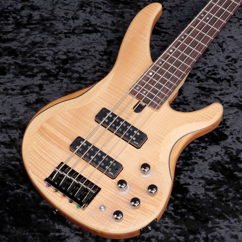 YAMAHA / TRBX605FM Natural Satin (NS) ヤマハ【5弦ベース】 | 5弦