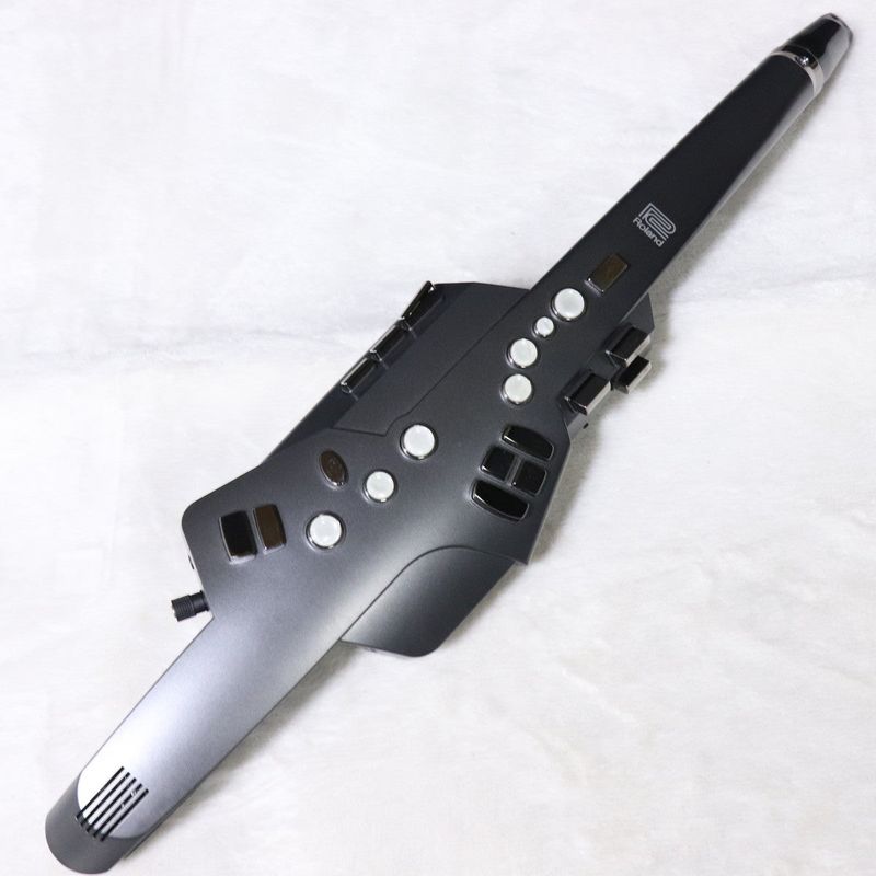 中古】ROLAND / AE-10G 【梅田店】 | ウインドシンセ | イシバシ楽器