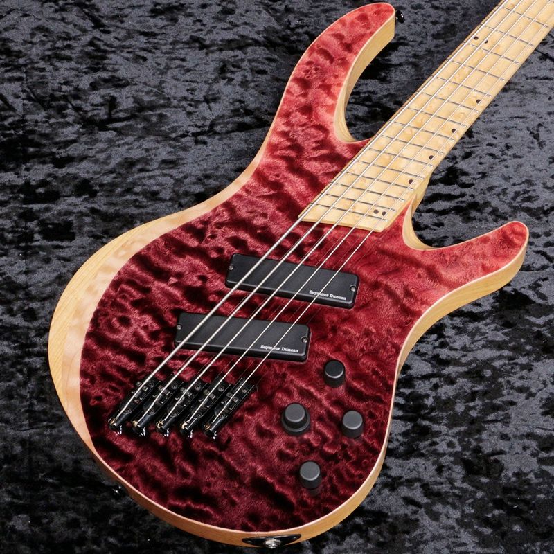 中古】ACACIA GUITARS / Atlas Modern 5st 【新宿店】 | その他タイプ 