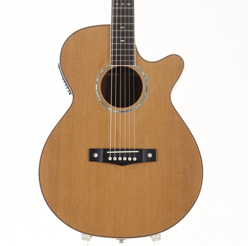 【中古】IBANEZ / AWG 800E Natural 【御茶ノ水HARVEST_GUITARS】