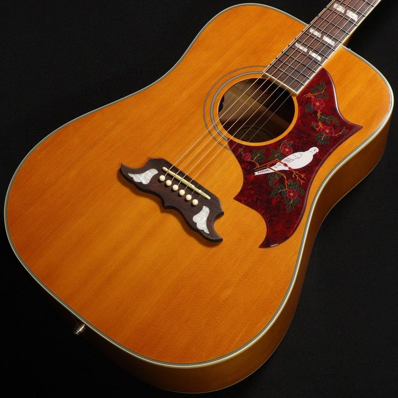 Epiphone / Studio Collection Dove Studio Natural ≪S/N:25102300363≫ 【心斎橋店】