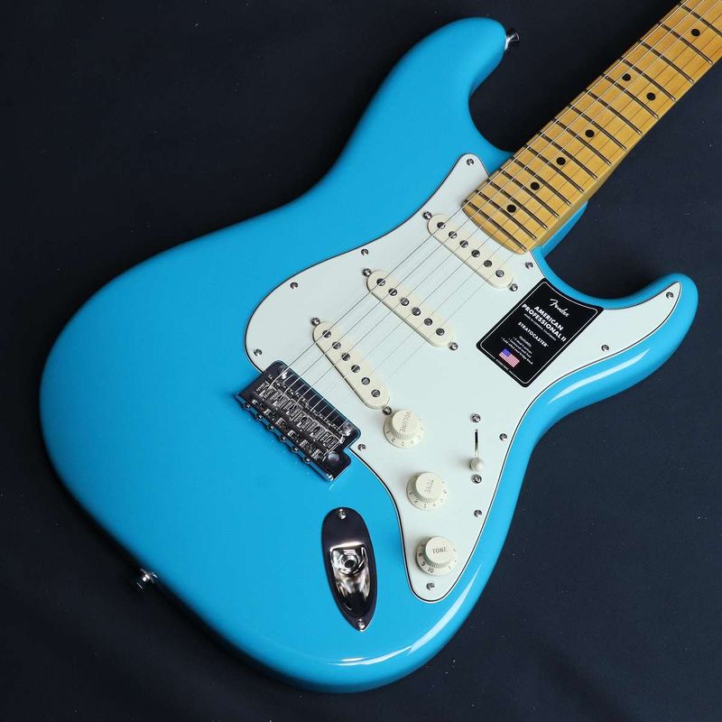 ストラトキャスタータイプ × FENDER × ブルー)の検索結果 | ギター