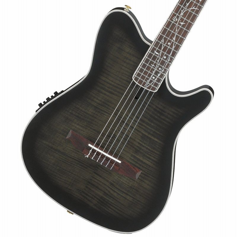 d (アコースティックギター × IBANEZ)の検索結果 | ギター、アコギ