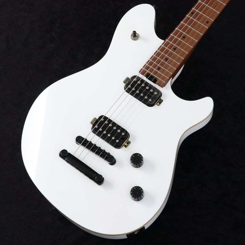 EVH)の検索結果 | ギター、アコギ、管楽器などを扱う全国12店舗の楽器