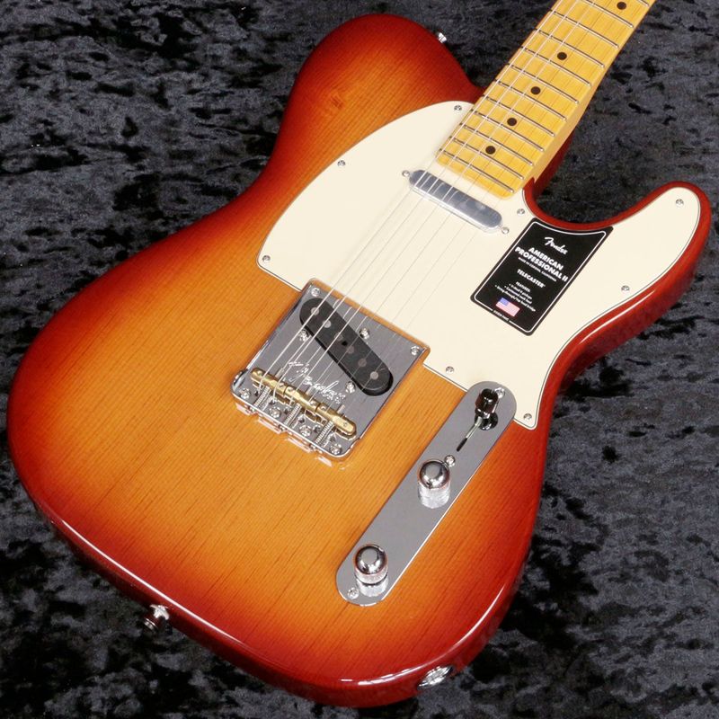 テレキャスタータイプ × FENDER × サンバースト)の検索結果 | ギター