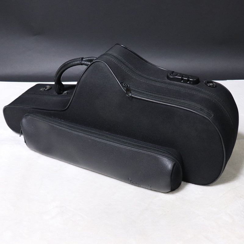 イシバシ楽器にて全タンポ交換！アルトサックス　➕bamケース付き！！！ 中古】bam / CLASSIC ALTO CASE 【梅田店】 | アルトサックス用