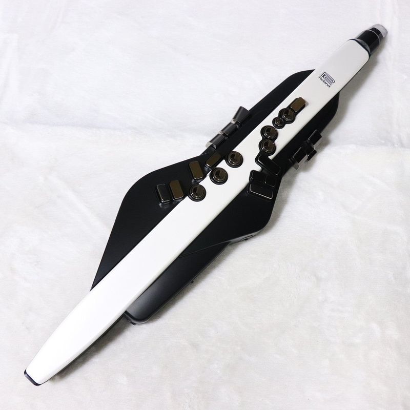 Roland エアロフォン　AE-20 中古品 中古】Roland / Aerophone AE-20 【梅田店】 | ウインドシンセ