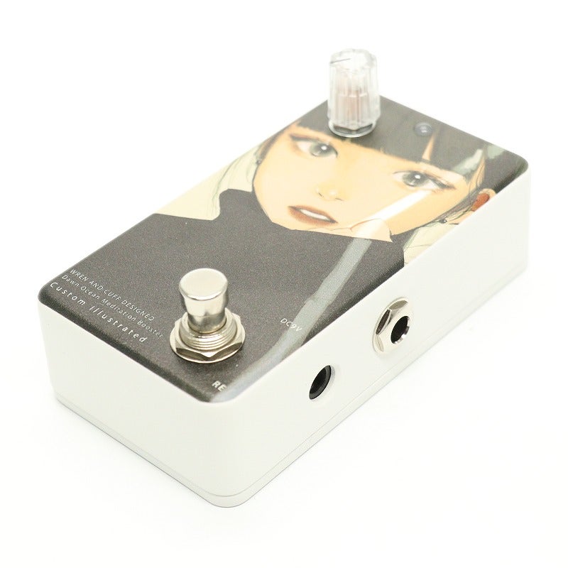 中古】Animals Pedal / Custom Illustrated DOMB might 日差し reprint