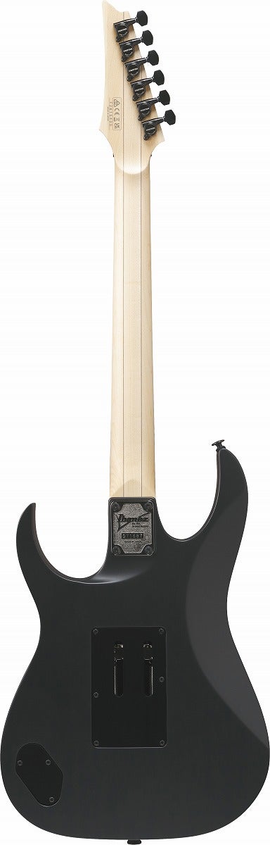 Ibanez / RG Genesis Collection RG550-BKF(Black Flat)【限定モデル