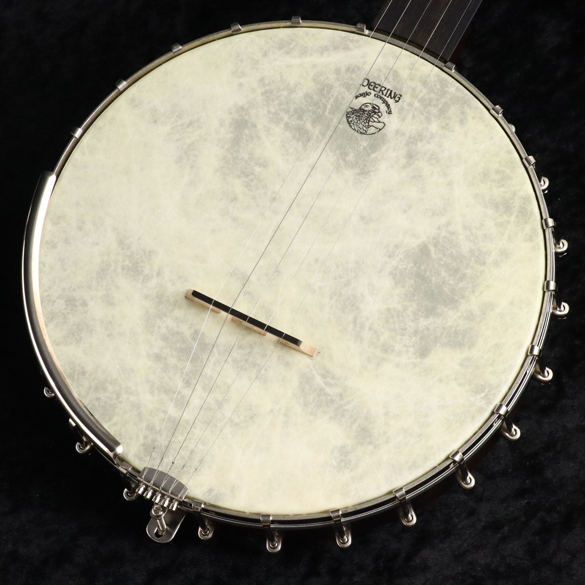 中古】VEGA / OLDE TYME WONDER 【御茶ノ水HARVEST_GUITARS