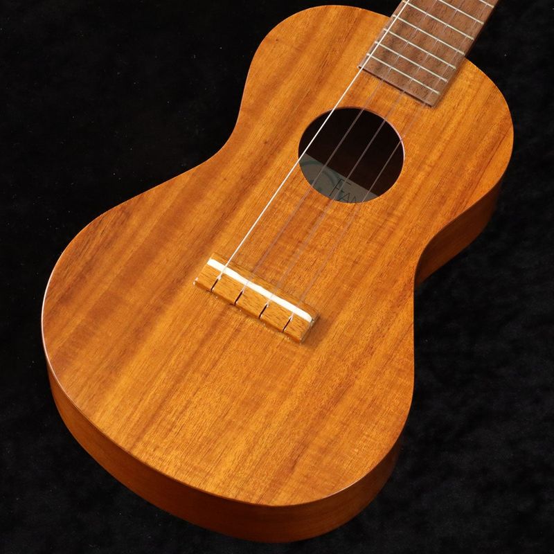 中古】FAMOUS / FC-5G 【御茶ノ水HARVEST_GUITARS】 | コンサート