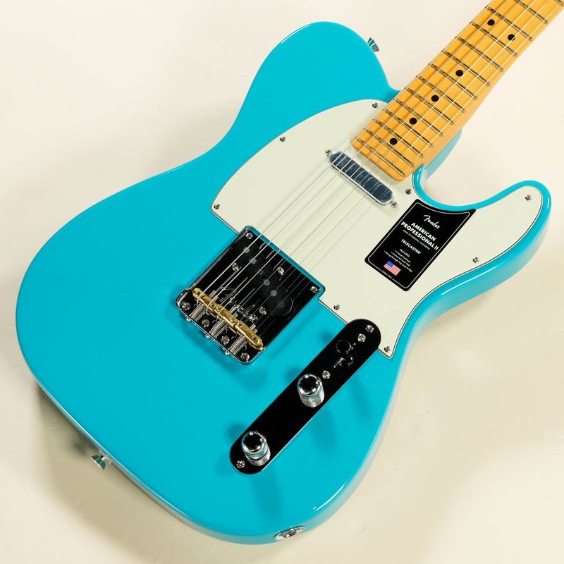 2 (テレキャスタータイプ × FENDER USA × ブルー)の検索結果 | ギター