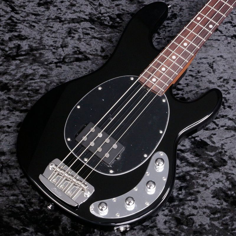 Sterling by MUSIC MAN / RAY 34 Black【新宿店】