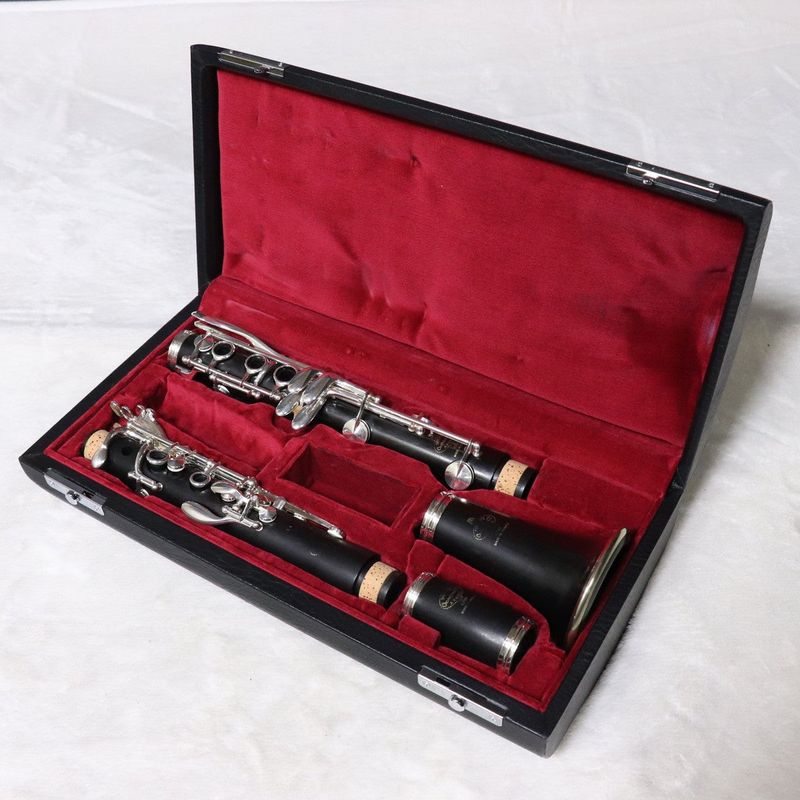 e (管楽器 × BUFFET CRAMPON 他2条件)の検索結果 | ギター、アコギ