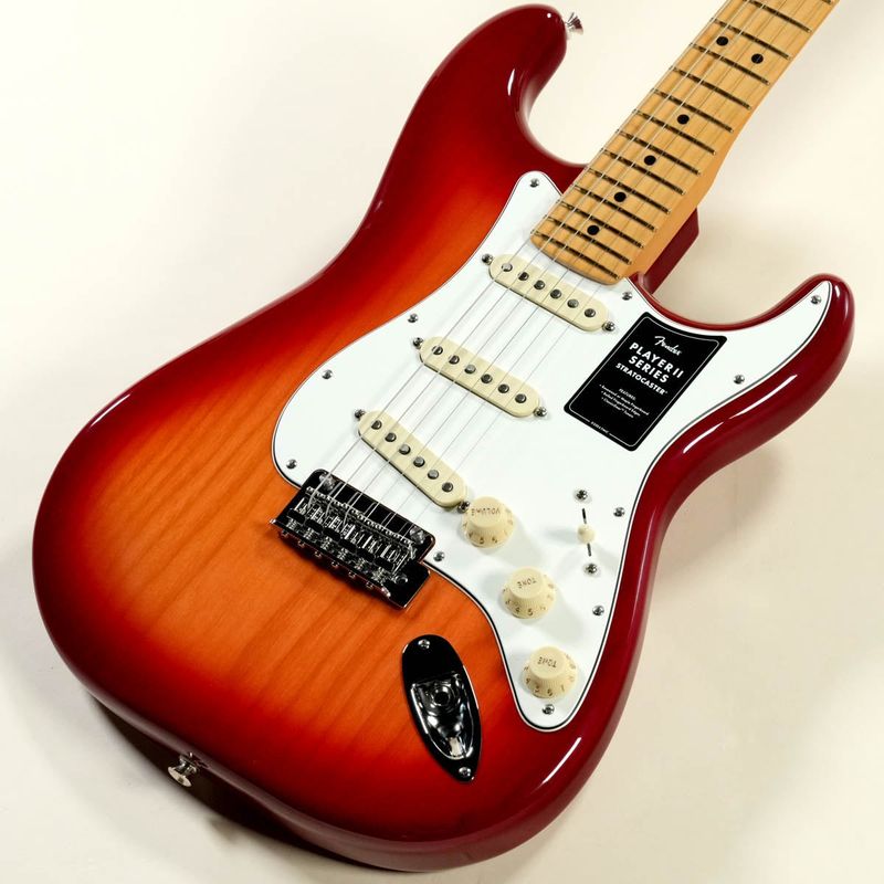 ストラトキャスタータイプ × FENDER MEXICO × サンバースト)の検索結果