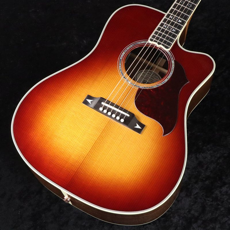 GIBSON MONTANA / Songwriter Recording Artist EC Rosewood Burst