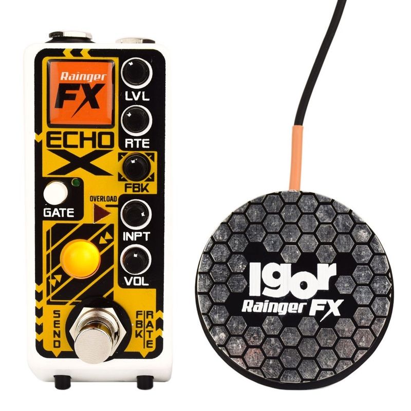 Rainger FX / Echo X Gated Digital Delay【渋谷店】《長期店頭展示品