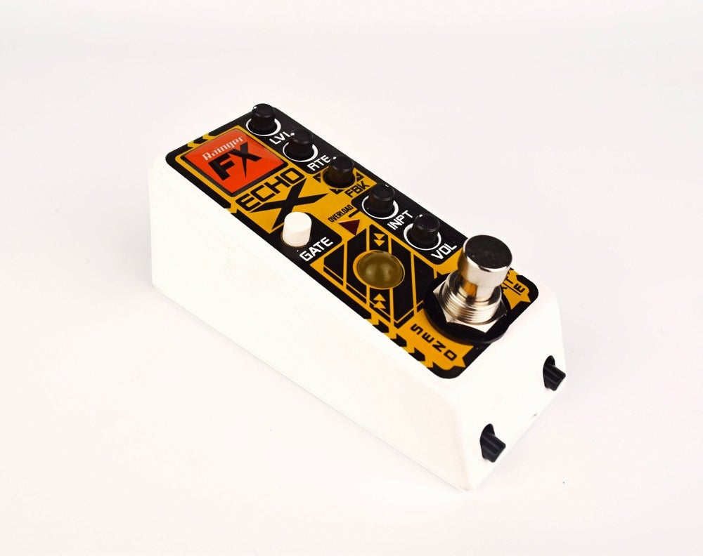 Rainger FX / Echo X Gated Digital Delay【渋谷店】《長期店頭展示品