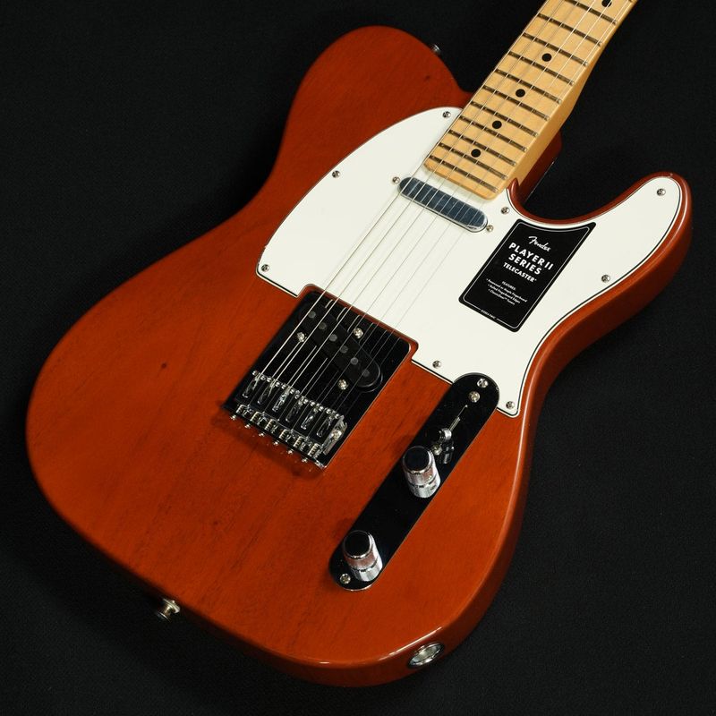 Telecaster (テレキャスタータイプ × FENDER MEXICO × ブラウン)の検索