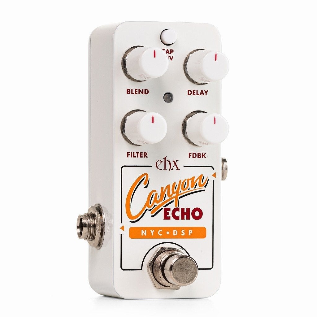electro-harmonix / Pico Canyon Echo Digital Delay デジタル