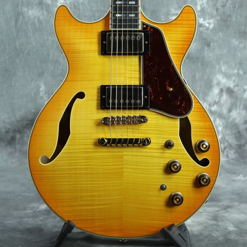 IBANEZ × サンバースト 他2条件)の検索結果 | ギター、アコギ、管楽器
