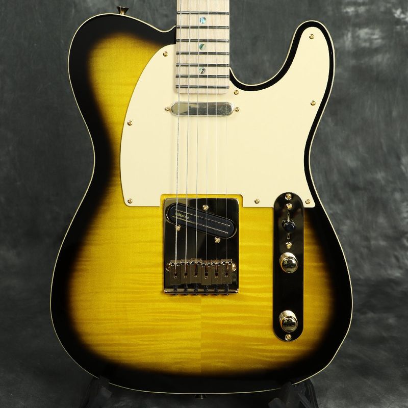 Fender (テレキャスタータイプ × サンバースト × WEBSHOP)の検索結果