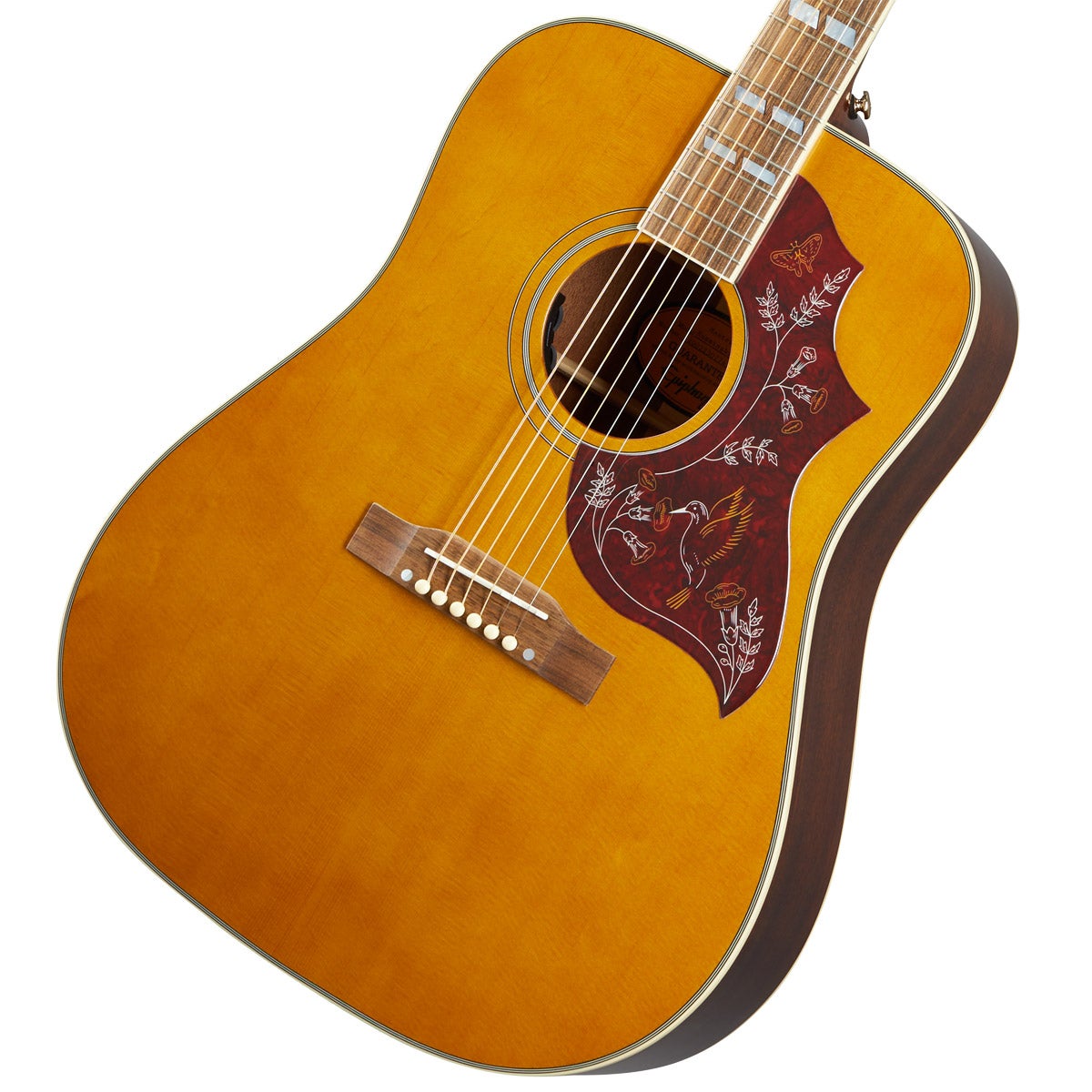 epiphone hummingbird white 未使用難有 ケース無 epiphone