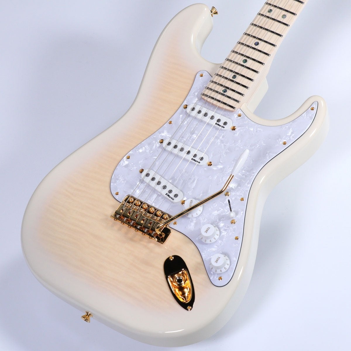 Fender / Japan Exclusive Richie Kotzen Stratocaster See-Through