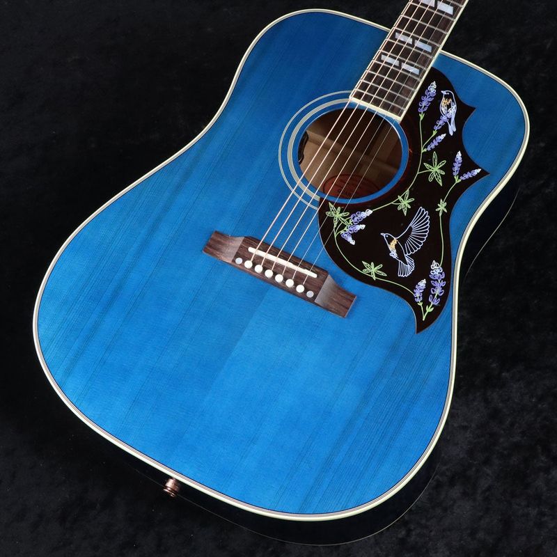 Gibson / Miranda Lambert Bluebird Bluebonnet 【御茶ノ水本店】