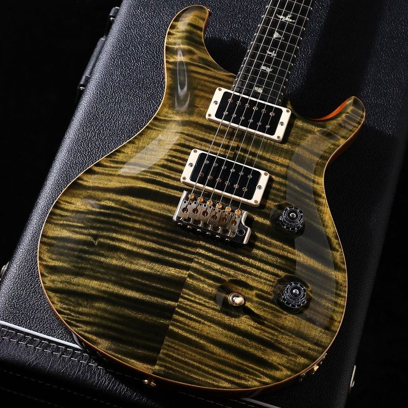 【中古】Paul Reed Smith (PRS) / 2016 Custom 24 Obsidian Pattern Thin Neck 【御茶ノ水本店】