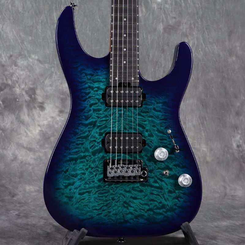 CHARVEL)の検索結果 | ギター、アコギ、管楽器などを扱う全国12店舗の