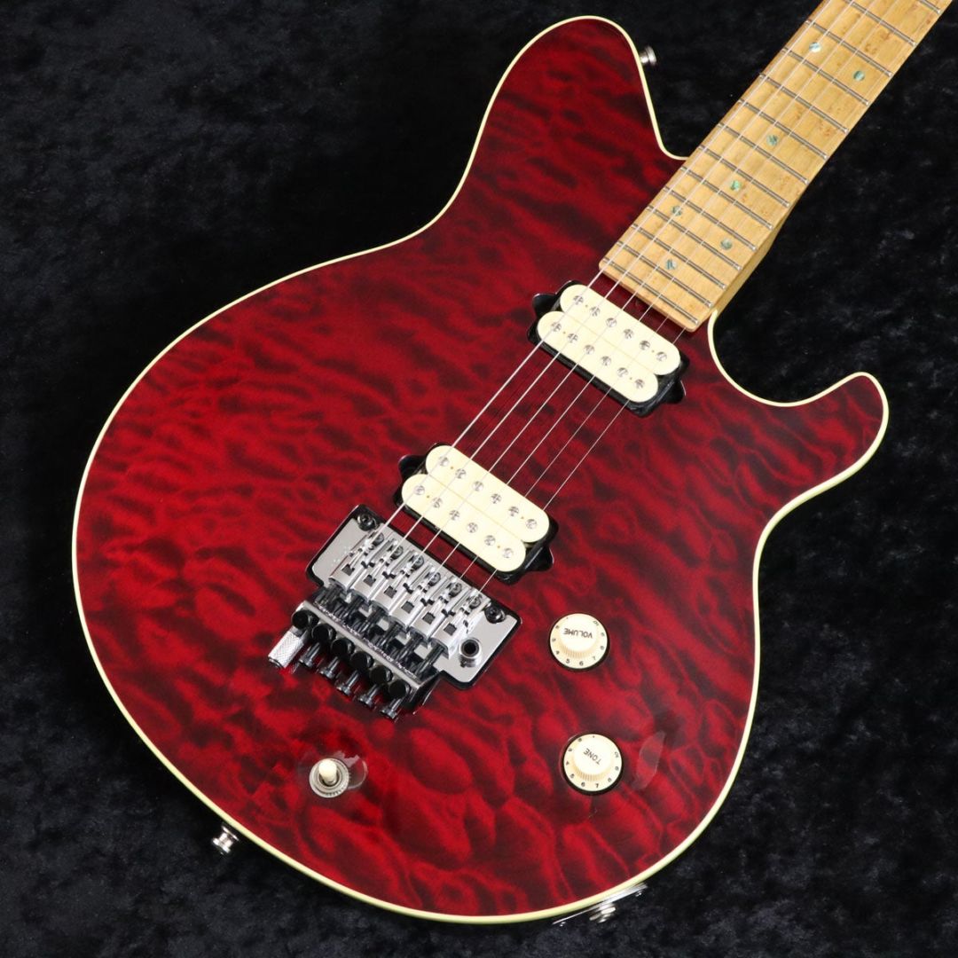 TERRY ROGERS / Mallie Trans Ruby Red