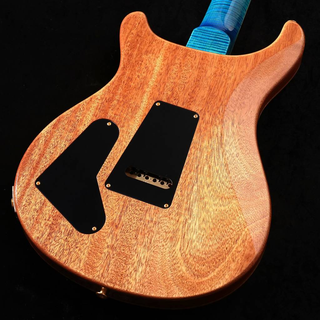 Paul Reed Smith (PRS) / 2026 Wood Library McCarty Trem Japan Exclusive Arctic Blue(3.78kg)【S/N:26 0426487】 사진 2