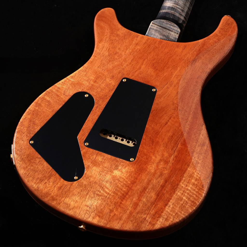 Paul Reed Smith (PRS) / 2026 Wood Library McCarty Trem Japan Exclusive Charcoal(3.53kg)【S/N:26 0426372】 사진 2