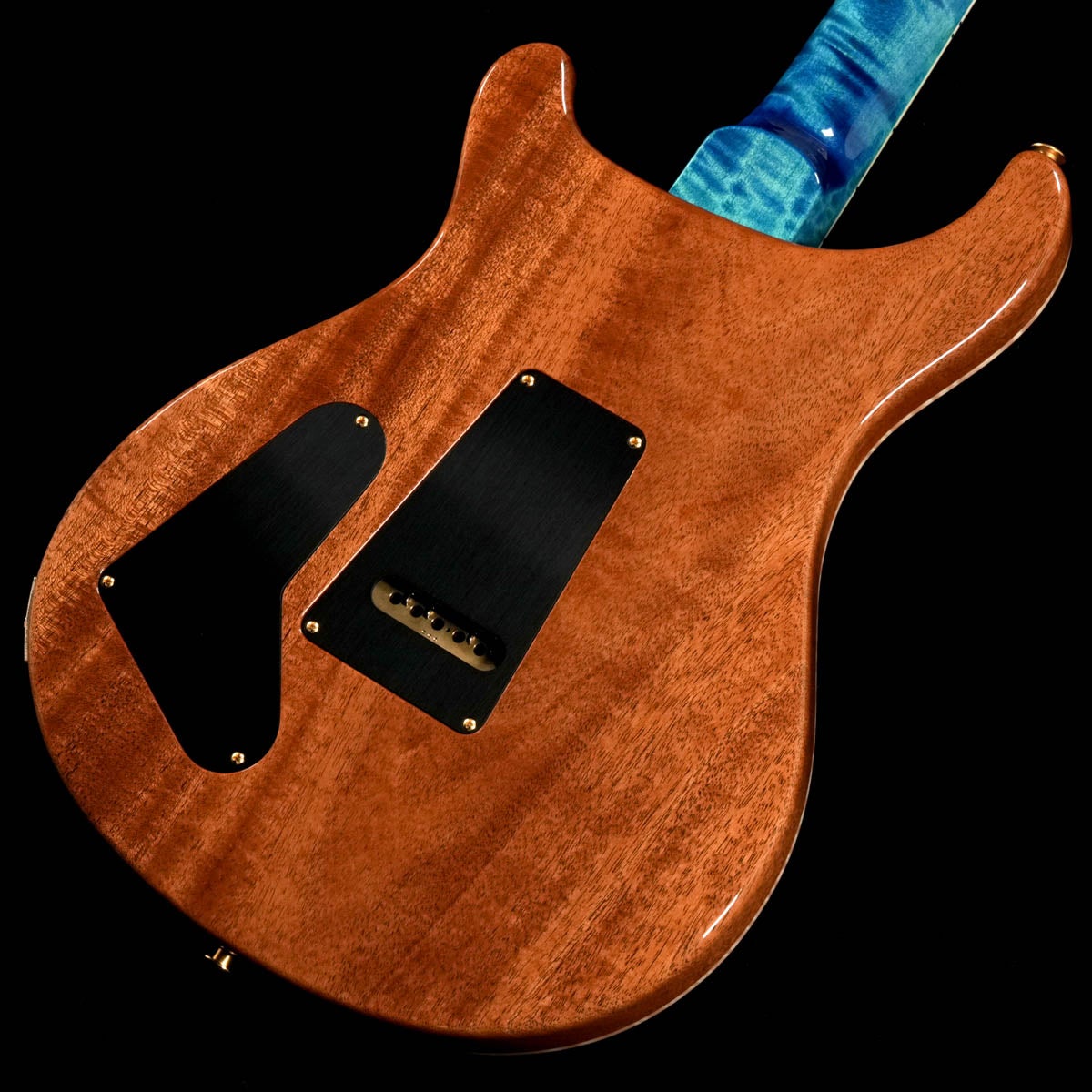 Paul Reed Smith(PRS) / 2026 Japan Exclusive Wood Library McCarty Trem 10Top Arctic Blue 사진 2
