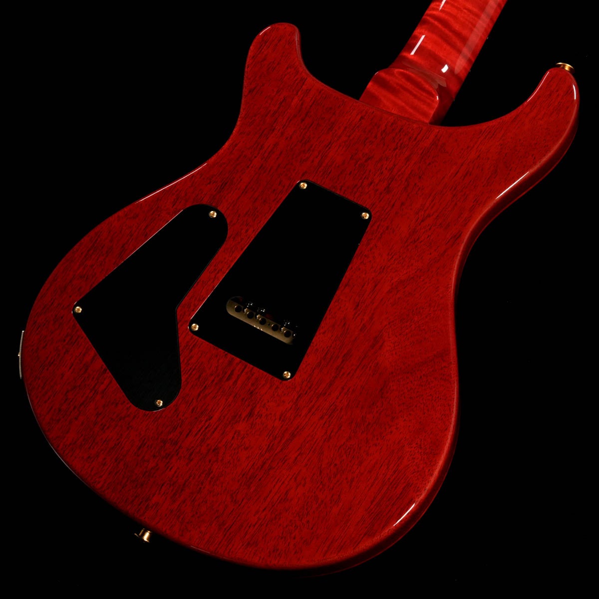 Paul Reed Smith(PRS) / 2026 Japan Exclusive Wood Library Custom 24 10Top Custom Color《Sprayer's Choice》 사진 2
