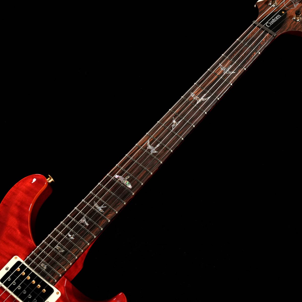 Paul Reed Smith(PRS) / 2026 Japan Exclusive Wood Library Custom 24 10Top Custom Color《Sprayer's Choice》 사진 3