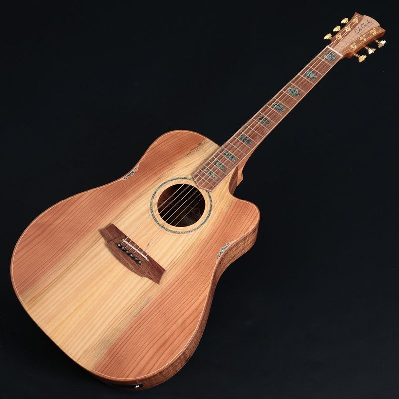 Cole Clark / FL Dreadnought Series CCFL3EC-RDBL-AE Redwood / Blackwood 3 Grade Australian-Eco 《特典付き》 【正規代理店商品】【池袋店】