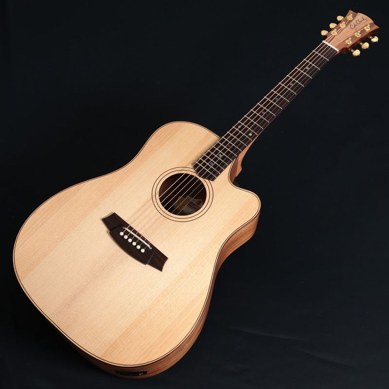 Cole Clark / Touring Series CCAN2EC-BBR Bunya/Blackwood Rosewood 《特典付き》【正規代理店商品】【池袋店】