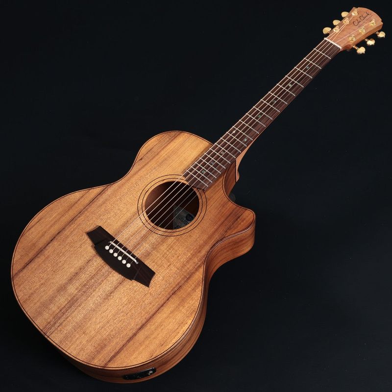 Cole Clark / Touring Series CCAN2EC-BLBLR All Blackwood Rosewood 《特典付き》 【正規代理店商品】【池袋店】